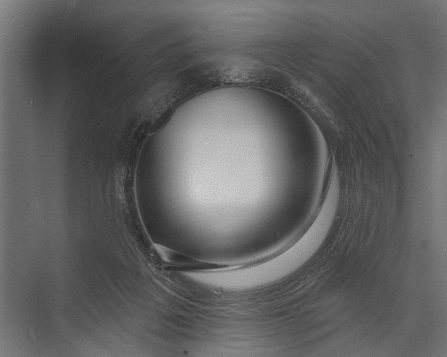 X0000073830217200608240959