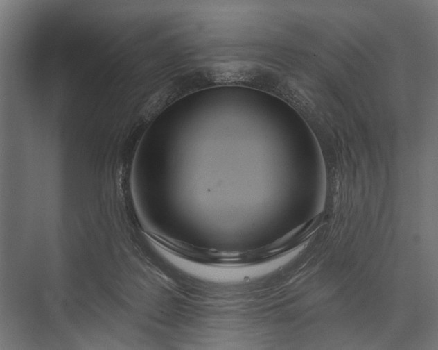 X0000073830219200608240959