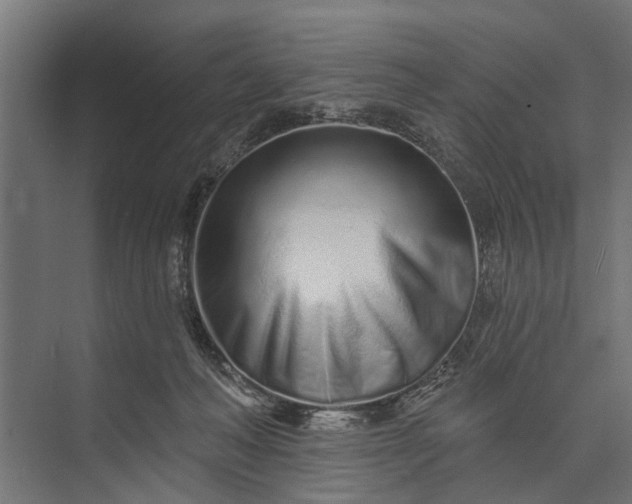 X0000073830222200608240959