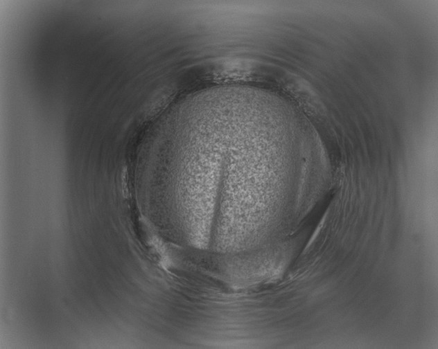 X0000073830224200608240959