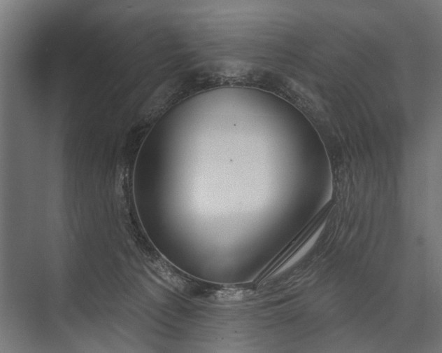 X0000073830225200608240959