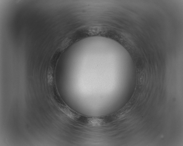 X0000073830226200608240959