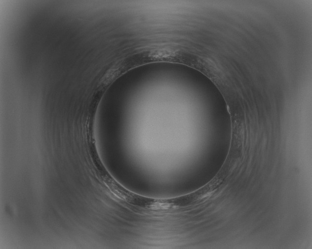 X0000073830227200608240959