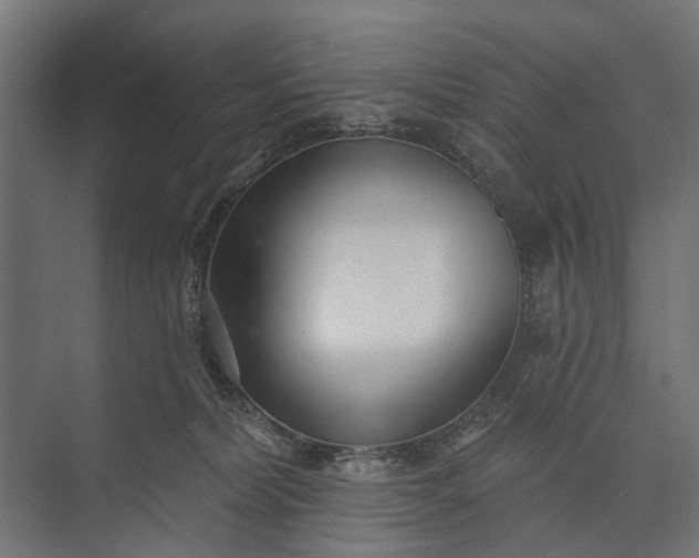 X0000073830228200608240959