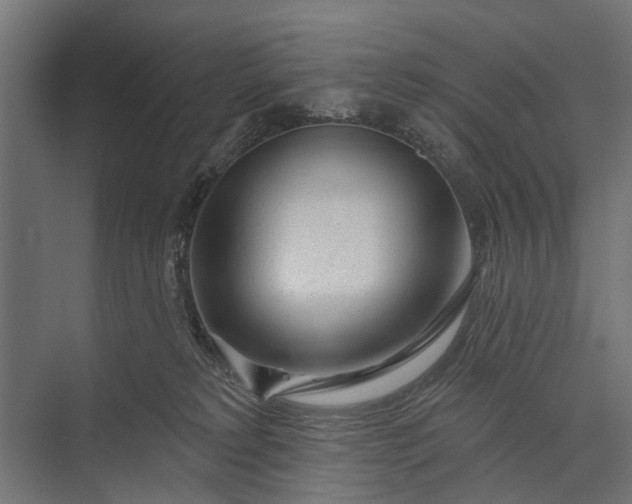 X0000073830229200608240959