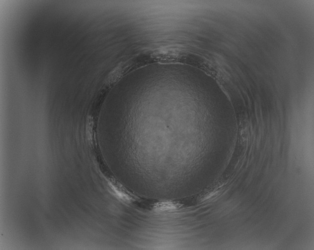 X0000073830231200608240959