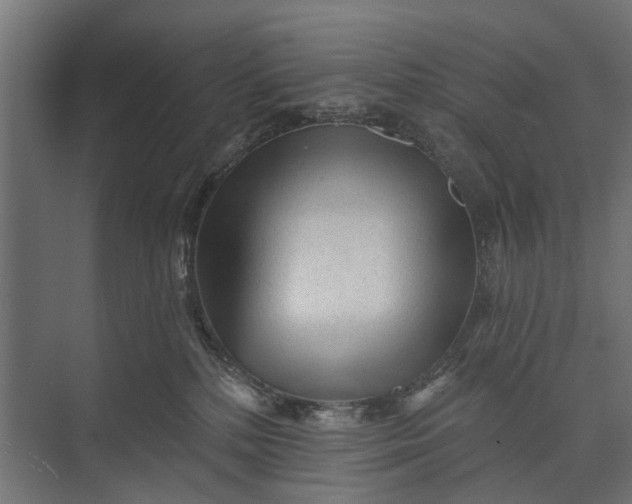 X0000073830232200608240959