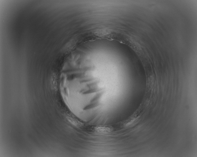 X0000073830234200608240959