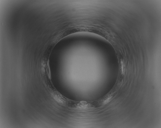 X0000073830235200608240959