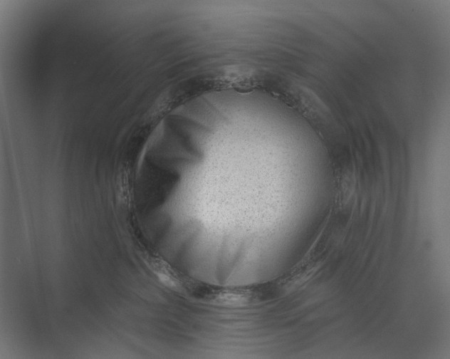 X0000073830236200608240959