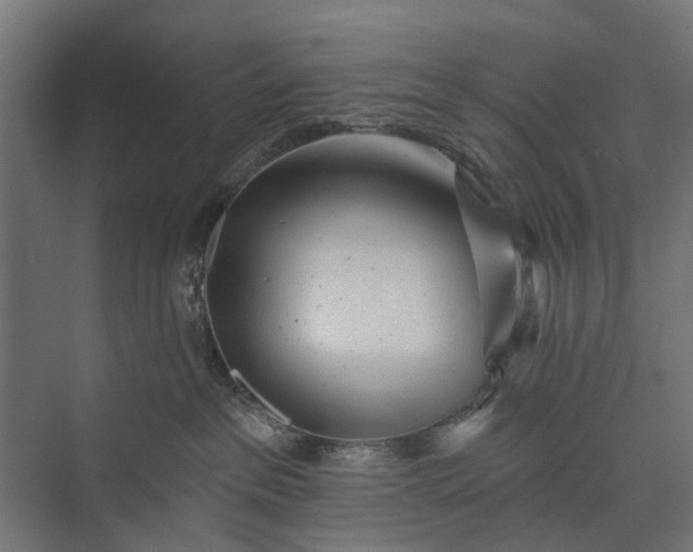 X0000073830237200608240959