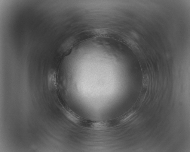 X0000073830238200608240959