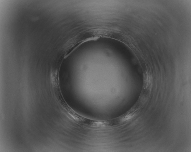 X0000073830239200608240959