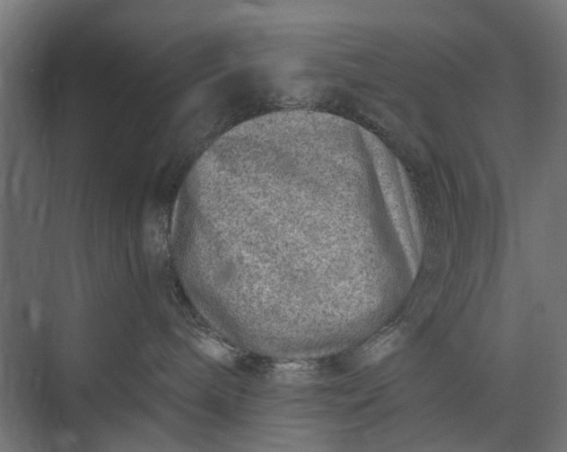 X0000073830240200608240959