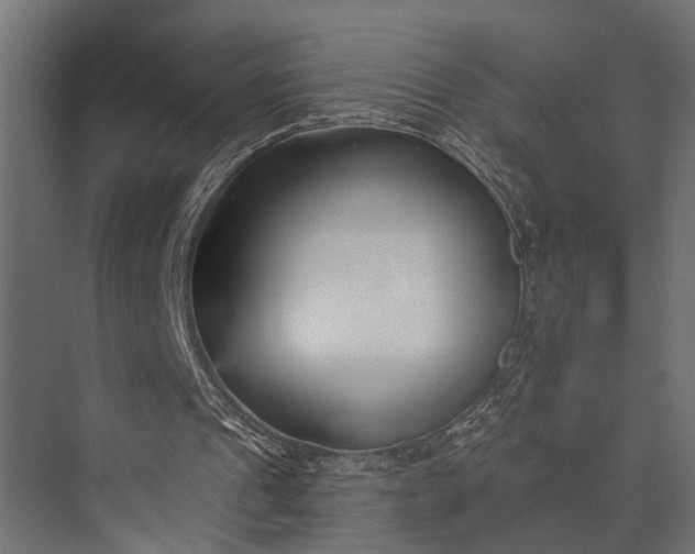 X0000073830241200608240958