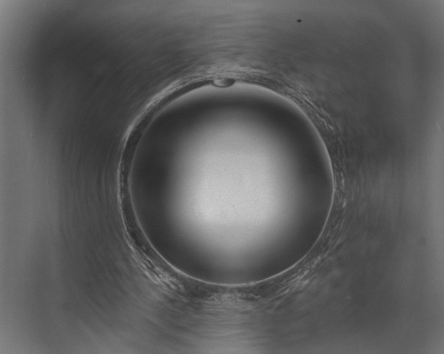 X0000073830244200608240958