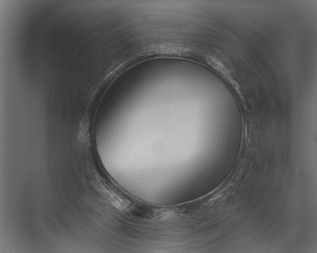 X0000073830249200608240958