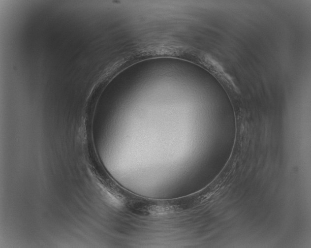 X0000073830250200608240958