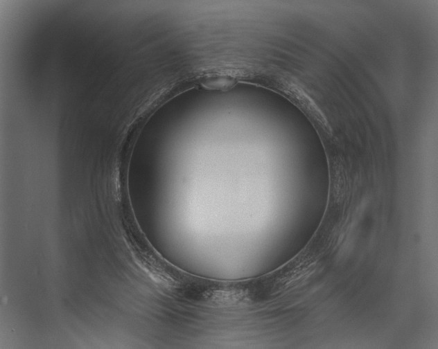 X0000073830251200608240958