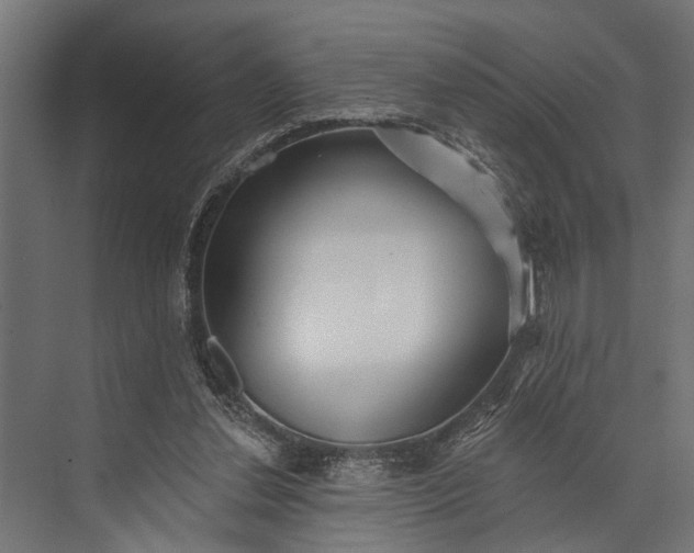 X0000073830252200608240958