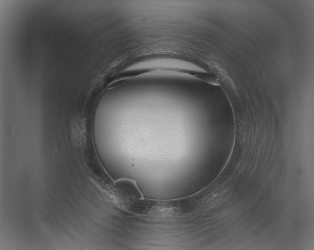 X0000073830260200608240958