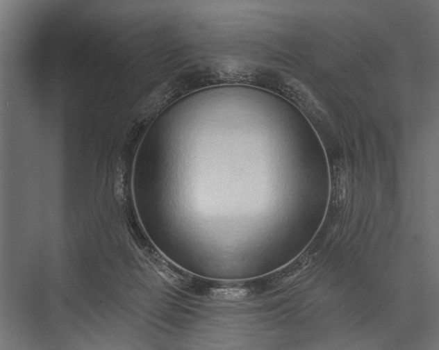 X0000073830266200608240958