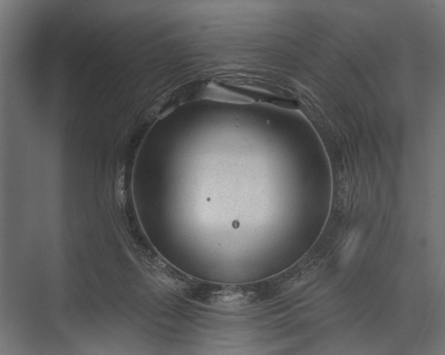 X0000073830267200608240958