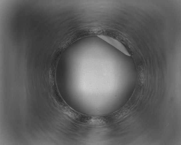 X0000073830270200608240958