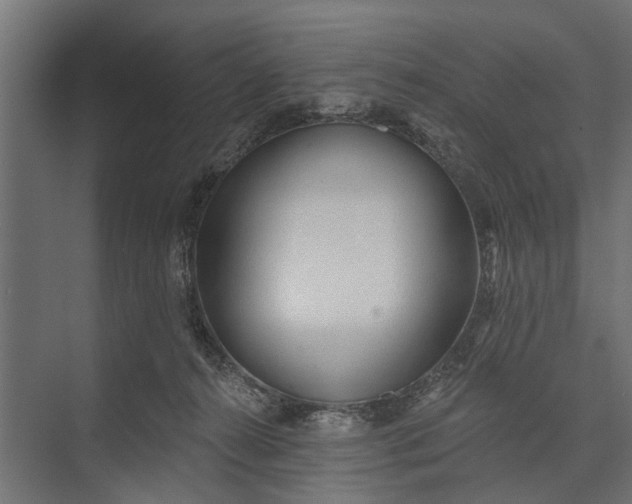 X0000073830272200608240958