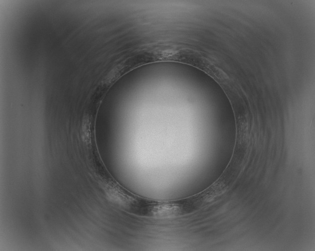 X0000073830274200608240958