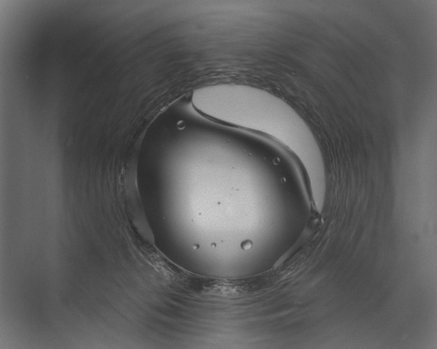 X0000073830276200608240958