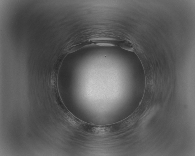 X0000073830277200608240958