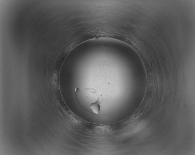 X0000073830281200608240959