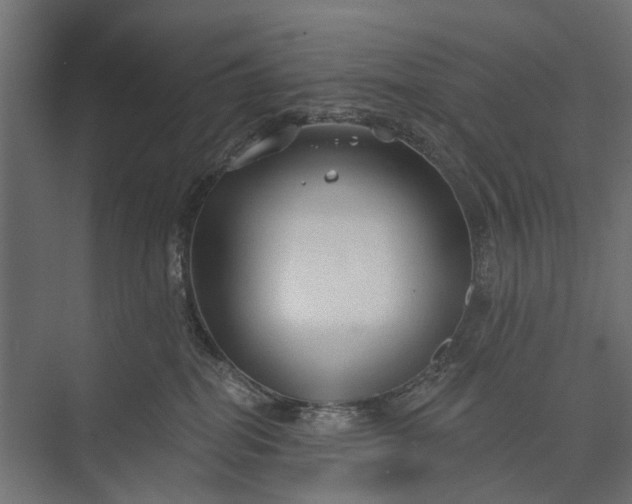 X0000073830282200608240959