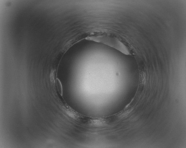 X0000073830286200608240959