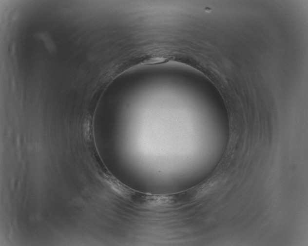 X0000073830288200608240959