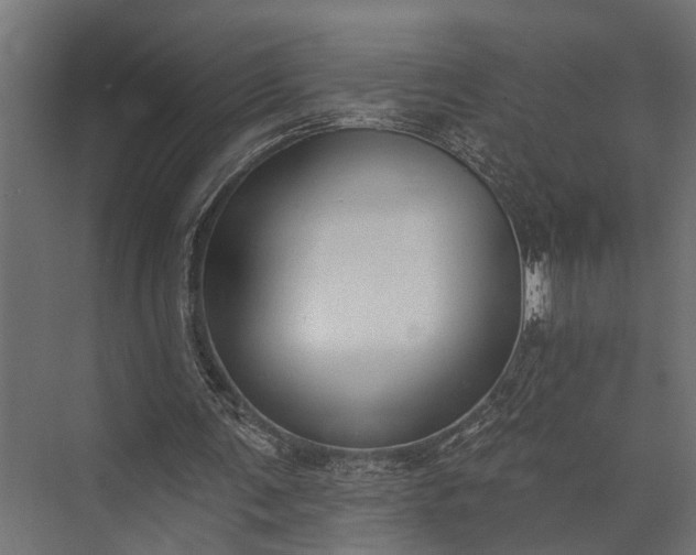 X0000073830291200608240958