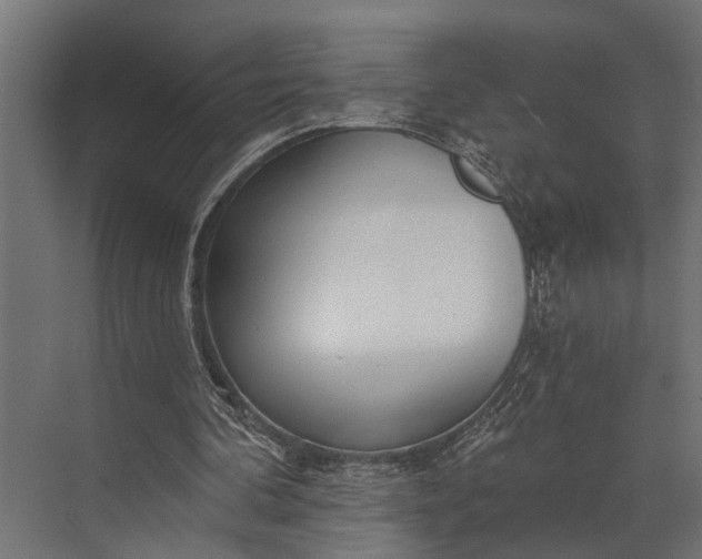 X0000073830292200608240958