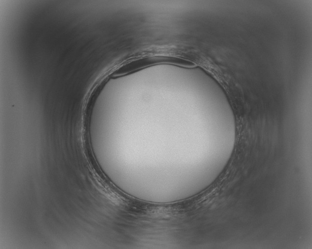 X0000073830293200608240958