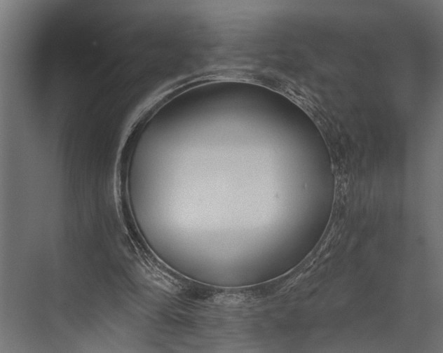 X0000073830294200608240958