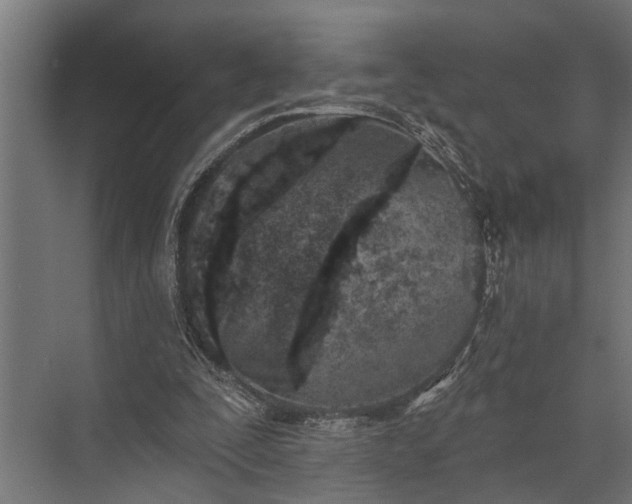 X0000073830295200608240958