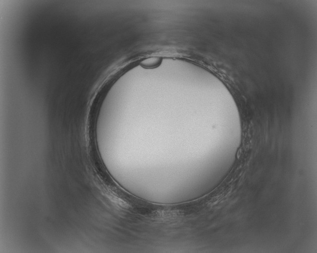 X0000073830296200608240958