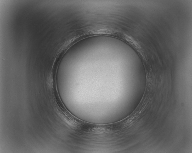 X0000073830298200608240958