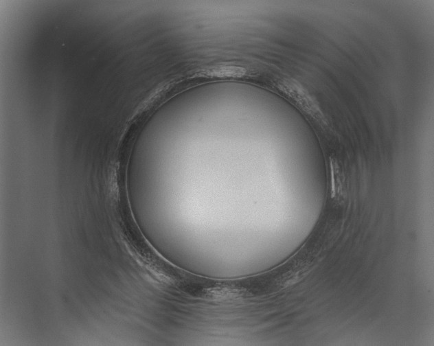 X0000073830300200608240958