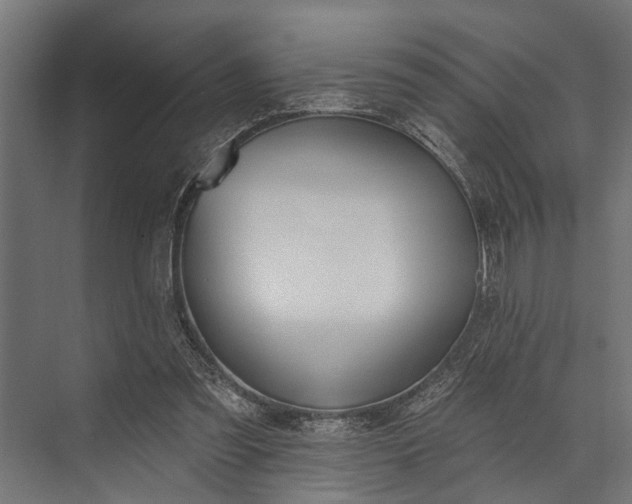 X0000073830301200608240958