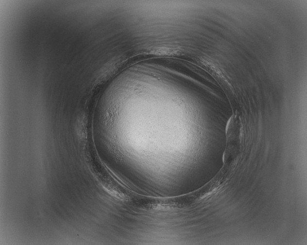 X0000073830303200608240958