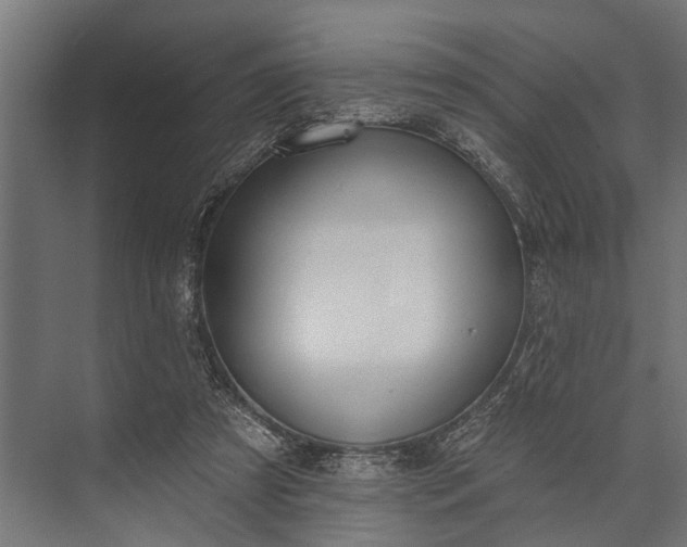 X0000073830305200608240958