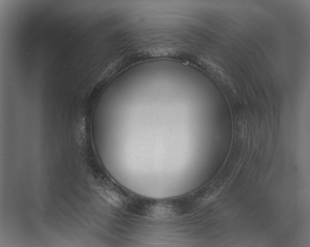 X0000073830308200608240958