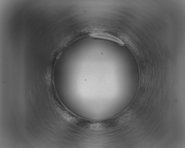 X0000073830309200608240958