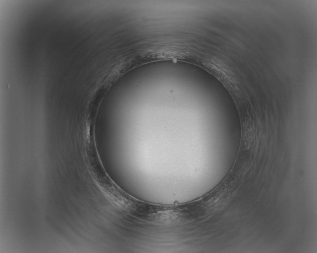 X0000073830310200608240958